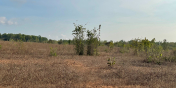 Bán nhanh đất Lương Sơn, cách QL 1A 500m, gần 14.000m2 giá 120k/m2