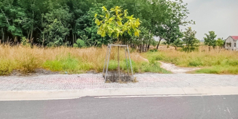 Bán lô đất ngay Trung tâm Hành chính TP mới, Bình Dương. Giá full sổ 1 tỷ 050.