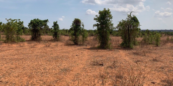 Bán 9947m2 có đường thể hiện trên sổ - Ngay Quốc Lộ 1A