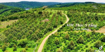 11,287m2 đất vườn sầu riêng, nguồn thu mạnh, gần KDL thác 5 tầng
