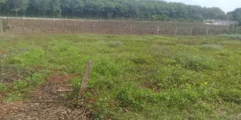 Bán đất tại Hoà Bình - Xuyên Mộc - Bà Rịa Vũng Tàu diện tích hơn 14600m2