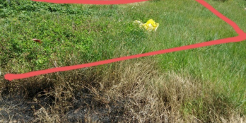 Chính Chủ Bán Gấp 100m2, Xã Mỹ Hạnh Nam, Đức Hòa, Sổ riêng, Giá 1.4 tỷ 093344125