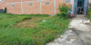 Bán 5x30m đất thổ cư Ấp Mới 1, Xã Mỹ Hạnh Nam, Đức Hòa, giá 1.45 tỷ, SHR