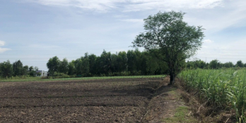 Cụm đất CLN gần khu tam giác vàng nối đường cầu Cát Lái và cao tốc BL-LT