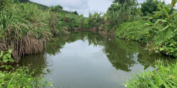 Với 750Tr đã bao phí thuế sở hữu ngay 1000m2 đất tại cửa ngõ Thác Đambri,Bảo Lộc