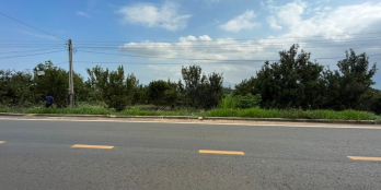 Bán Đất Tân Hà 7,85 Tỷ DT 2811m2 (35x88m) Quy Hoạch Thổ Cư Tân Hà - Lâm Hà