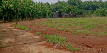 đất nền sổ sẵn giá rẻ tại huyện lộc ninh bình phước