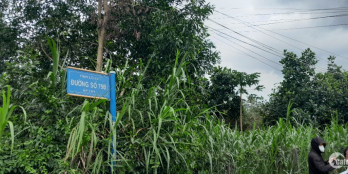 Bán 2.300m2 Long Phước 2 mặt tiền đường giá buông sổ