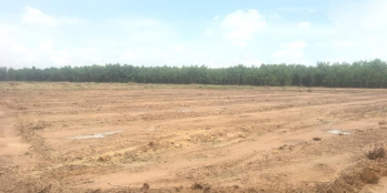 Chính Chủ Cần Bán Đất Sào Xã Lộc Thạnh Lộc Ninh Bình Phước đối diện KCN