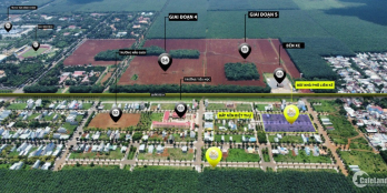 VÌ SAO DẦU GIÂY THỐNG NHẤT PHÁT TRIỂN BỀN VỮNG ĐẤT NỀN TRUNG TÂM ĐẦU TƯ LÃI KÉP