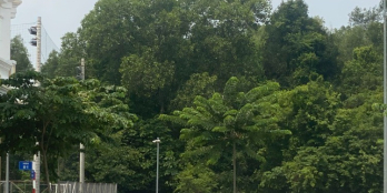 bán đất chính chủ gần chợ quan vinh 2 liền kề KCN tân uyên. bình dương