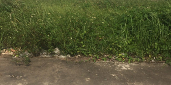 Lô đất mặt tiền Tỉnh Lộ 10 giáp Bình Chánh giá 1,64 tỷ