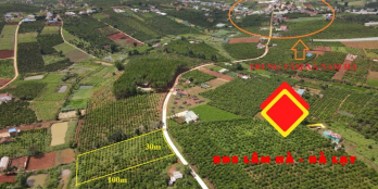 3.000m2(30x100m) vuông vức,QH đất ở ngoại ô TP Đà Lạt giá đầu tư