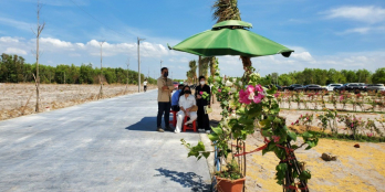 Chính chủ cần bán lô đất 200m2. 100m2 thổ cư tại láng dài Đất Đỏ BRVT.