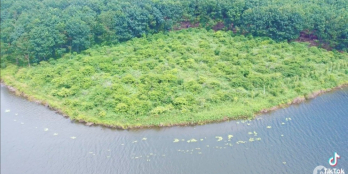 Đất Rẫy View Hồ Lớn, 5,3 xào giá 1,9 tỷ xã Đak Sin, Đắk R'Lấp, Tỉnh Đak Nông