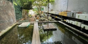 Hot:Nhà 2 Tầng,DT:235m2,Đường Vườn Lài,P.An Phú Đông,Q.12 Giá 8 tỷ 9 TL