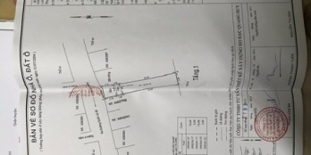 Cần Bán Gấp ( Cặp Nhà hai căn liền kề) Bình Chánh