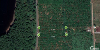 Bạn là đầu tư thông thái không nên bỏ qua lô đất CLN này .