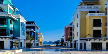 Sonasea Vân Đồn mỏ vàng sinh lời vĩnh viễn bảng hàng ngoại giao chiết khấu 10%