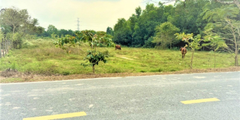 CHÍNH CHỦ BÁN GẤP 30X40 THỔ CƯ 100% SHR SÁT KCN PHƯỚC ĐÔNG GIÁ 500 TRIỆU