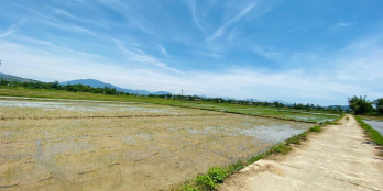 380m2 view đồng ở Điện tiến cần tìm chủ mới,chỉ 680 triệu/lô