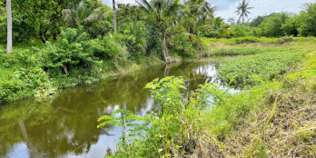 Bán đất ngay khu dân cư thị trấn định quán