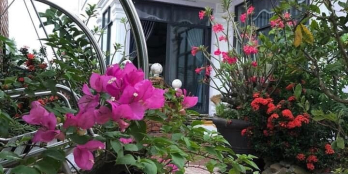 Biệt Thự Sân Vườn,DT:500m2,Đường Đặng Thúc Vĩnh,Xã Đông Thạnh,Hóc Môn,Giá 24 Tỷ