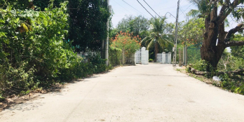 BÁN ĐẤT THỔ CƯ MẶT TIỀN ĐƯỜNG LÊ ĐẠI HÀNH QH RỘNG 22m