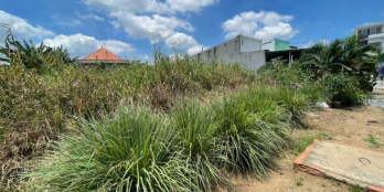 Nền thổ - vườn gần chợ Phú Hữu đường hiện hữu 3m trước đất giá đầu tư