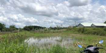 Đất nông nghiệp phủ hồng đối diện công an xã Long Thọ cách Hùng Vương chỉ 400m