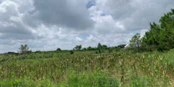 Bán đất mặt tiền 10m2, view đẹp thoáng mát