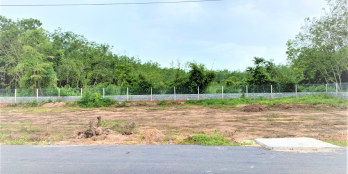 GÒ DẦU GẦN CHỢ  BÁN GẤP 40X30 THỔ CƯ ĐƯỜNG NHỰA 20M GIÁ 775 TRIỆU