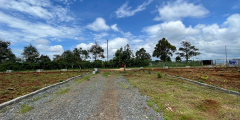 Bán đất nền Lộc An Star Hills giá đầu tư chỉ từ 1.25 tỷ lô 120m full thổ SHR