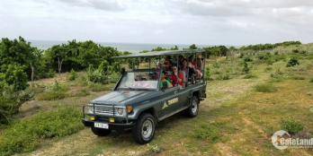 Bán đất CLN ngay biển Hòa Phú sát bên đường đôi ven biển 350k/m2