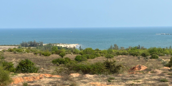 BÁN BÁN BÁN !!!!! mảnh đất Trồng Cây lâu năm Gần Biển Hòa Phú