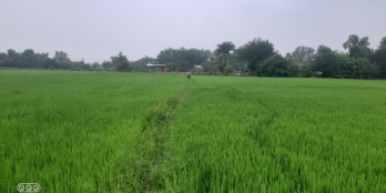 Chủ ngộp cần Bán đất vườn thổ 2225.4m² tại đường 630, Xã Phước Thạnh, Củ Chi