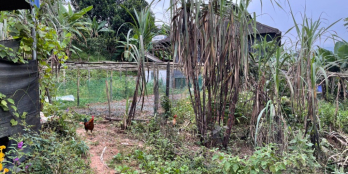 Chính chủ cần bán mảnh đất mặt đường TK 19/5 Chiềng Sơn – Mộc Châu