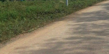 Bán đất nền thổ cư sổ sẵn đường nhựa 19m thông ra đường 65m