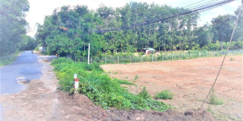 SIÊU RẺ BÁN ĐẤT 10X30 NGAY CHỢ CẨM LONG 785TR SỔ RIÊNG GẤP LẮM RỒI