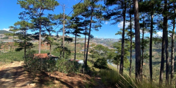 Em trai mình cần bán 8 sào đất ( DT sử dụng thật 9689 m²) view đẹp, Xã Xuân Thọ,