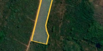 1001m mặt đường đất liên thông có dự án đổ nhựa, tặng 50.000m2 đất nông nghiệp