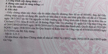 Nhà phố Cityland Vip nhất Gò Vấp đẳng cấp thượng lưu, lợi nhuận cao