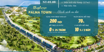 Ra mắt quỹ căn độc quyền - Phân Khu Palma - Vinwonder Phú Quốc