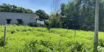 Đất định cư Bình Châu, 1 tỏi 7 full thổ cư