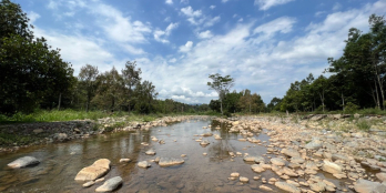 Cần bán lô đất 1 ha 3 mặt suối tại thị trấn Đạ M'dri, Lâm Đồng