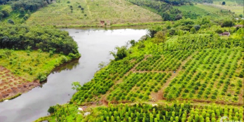 Đất rẫy view hồ, nguồn thu mạnh, giá chưa qua đầu tư, xã Đạo Nghĩa