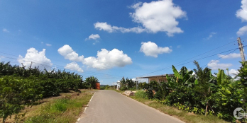 Bán 4000m2 đất trồng kín cafe thu tốt ở Di Linh Lâm Đồng