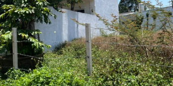 Bán Lô đất hẻm đường nhựa Giải Phòng phường Tân Lợi