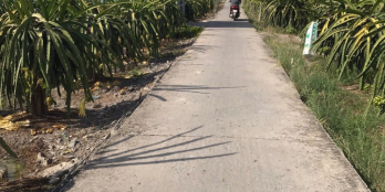 Kèo thơm xuất hiện, đất thổ cư Châu Thành, Long An