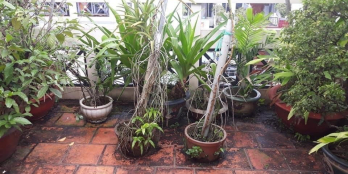 HXH đỗ cửa Lê Văn Sỹ Q3 ngang8m DT85m2 4tầng giá bán14 tỷ rất phù hợp để ở